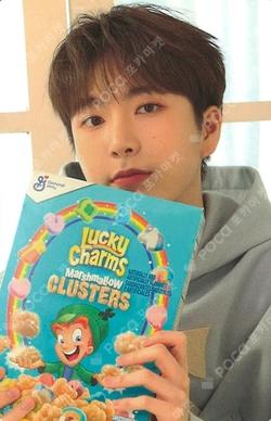 ITTABOOK knpops KEVIN photocard image