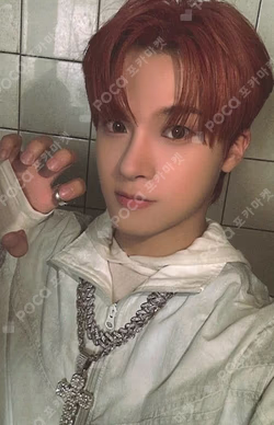 HOUSE OF TRICKY : WRECKING THE HOUSE POCAALBUM