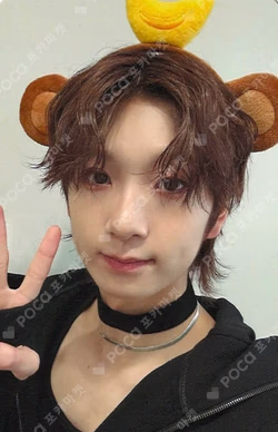 LOUD & PROUD EVERLINE