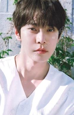 Soar PHOTO PACKAGE DOYOUNG photocard image