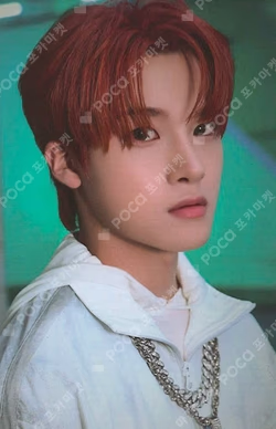 HOUSE OF TRICKY : WRECKING THE HOUSE POCAALBUM