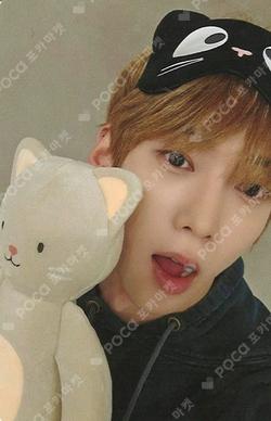 ONE QUESTION SOUND WAVE KAMDEN photocard image