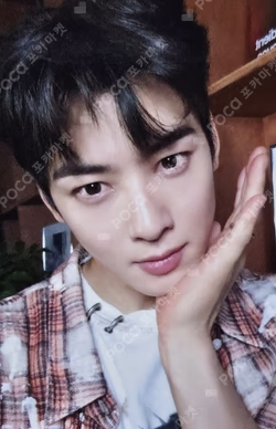 ELSE APPLEMUSIC ChaEunwoo photocard image