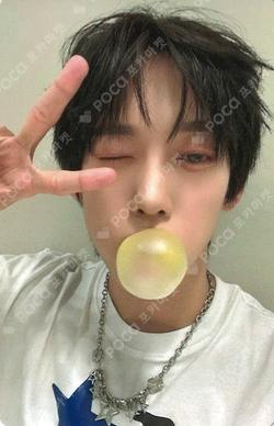 WILD&FREE SOUND WAVE