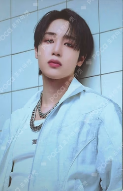 HOUSE OF TRICKY : WRECKING THE HOUSE POCAALBUM