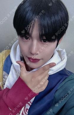 Potential MV BEHIND DVD DEAR MY MUSE