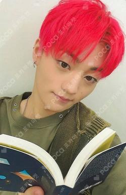 FLEX LINE DEAR MY MUSE CHOIWOOJIN photocard image