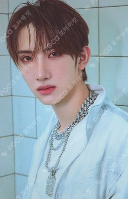 HOUSE OF TRICKY : WRECKING THE HOUSE POCAALBUM