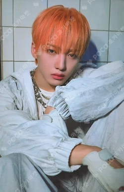 HOUSE OF TRICKY : WRECKING THE HOUSE POCAALBUM