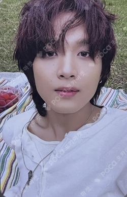 TASTE RANDOM TRADING CARD SET