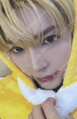 NEVER SAY NEVER MUVVE