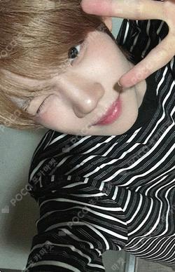 Snowy Summer NY MUSIC KENSHIN photocard image