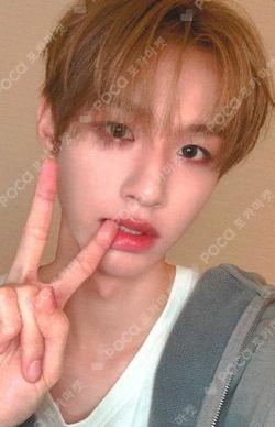 blackout EVERLINE Sung Min Kim photocard image