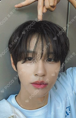 Snowy Summer DEAR MY MUSE Sung Min Kim photocard image