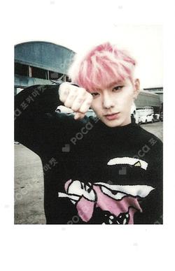 MONOLOGUE POLAROID SET