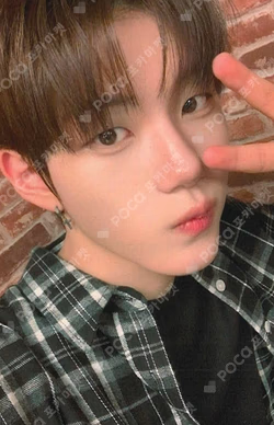 Snowy Summer JJMUZE
