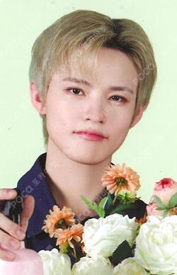 NCT CHENLE photocard image