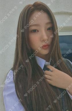 FOCUS WEVERSE JAPAN Stella photocard image