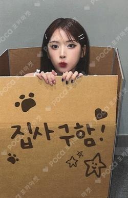 Blue Valentine MAKESTAR JIWOO photocard image