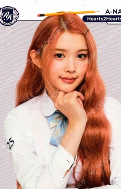 TELECA COLLECTION CARD 2025 K-POP ROOKIE BASE