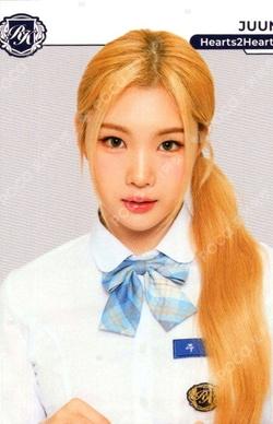 TELECA COLLECTION CARD 2025 K-POP ROOKIE BASE JUUN photocard image