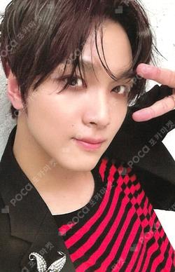 TASTE RANDOM TRADING CARD SET