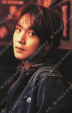 TASTE RANDOM TRADING CARD SET