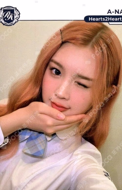 TELECA COLLECTION CARD 2025 K-POP ROOKIE BASE