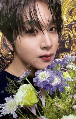 TASTE RANDOM TRADING CARD SET