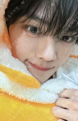 NEVER SAY NEVER MUVVE KIM GYUVIN photocard image