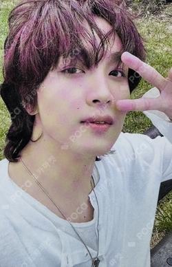 TASTE HAIR PIN SET HAECHAN photocard image