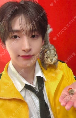 Dare to Crave : Epilogue APPLEMUSIC JUNGMO photocard image