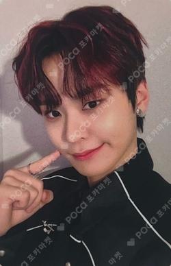 THE CALM BEFORE THE STORM EVERLINE SHOWCASE TAERAE photocard image