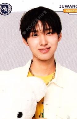 TELECA COLLECTION CARD 2025 K-POP ROOKIE BASE