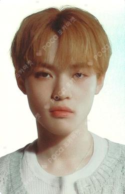 2024 NCT DREAM WORLD TOUR THE DREAM SHOW 3 : DREAM( )SCAPE PVC WALLET SET CHENLE photocard image