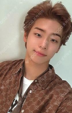 Trophy Classic ver. Kim Do Gyun photocard image