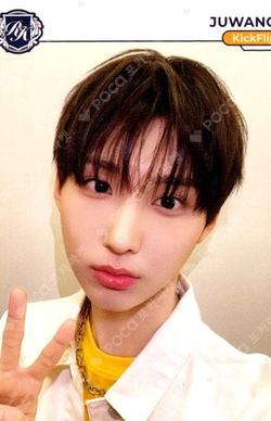 TELECA COLLECTION CARD 2025 K-POP ROOKIE BASE Juwang photocard image