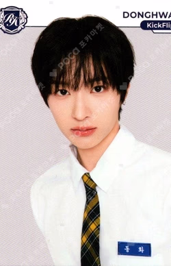 TELECA COLLECTION CARD 2025 K-POP ROOKIE BASE