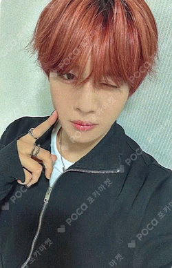 UNDENIABLE INTERASIA HIKARI photocard image