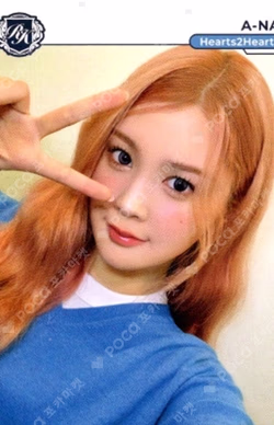 TELECA COLLECTION CARD 2025 K-POP ROOKIE BASE