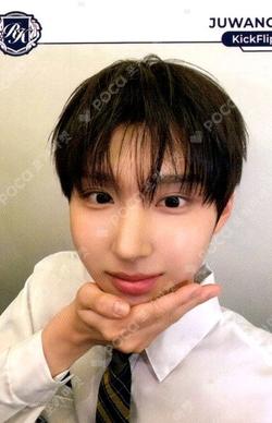 TELECA COLLECTION CARD 2025 K-POP ROOKIE BASE Juwang photocard image