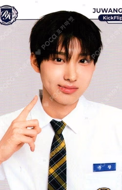 TELECA COLLECTION CARD 2025 K-POP ROOKIE BASE