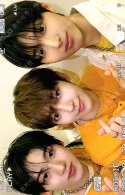 TELECA COLLECTION CARD 2025 K-POP ROOKIE RARE