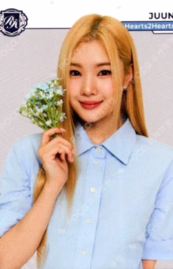 TELECA COLLECTION CARD 2025 K-POP ROOKIE BASE