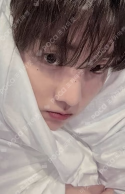 a;effect Hellolive shop Q photocard image