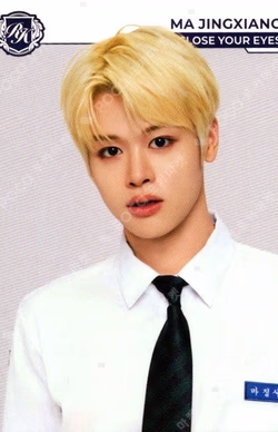 TELECA COLLECTION CARD 2025 K-POP ROOKIE BASE