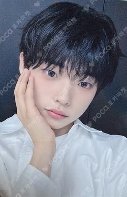 MY PRIDE DEAR MY MUSE SHINYECHAN photocard image