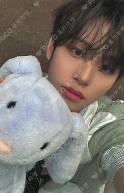 Snowy Summer BEATROAD