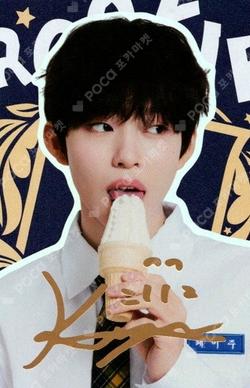 TELECA COLLECTION CARD 2025 K-POP ROOKIE SPECIAL