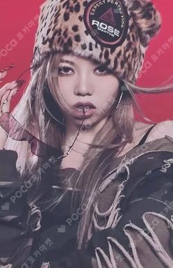 ALLDAY PROJECT PHOTOCARD PACK ver.